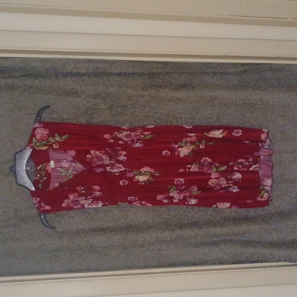 Pretty Juniors Large Red Floral Dress